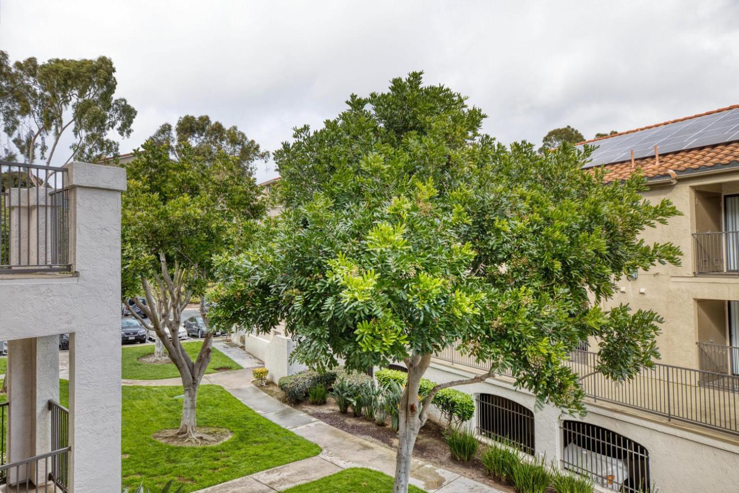 Apartment La Jolla 1br W Gym Wd Pool Nr Bars Shops San-44 *